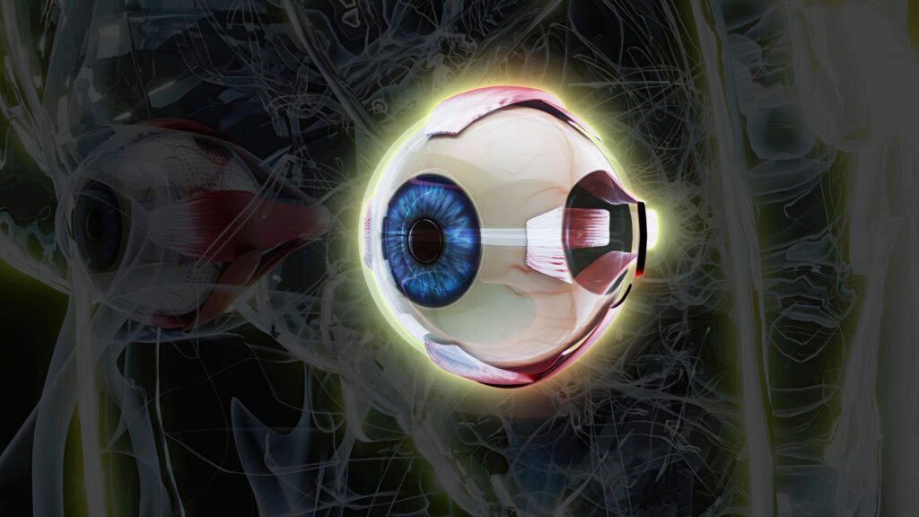 degeneração macular