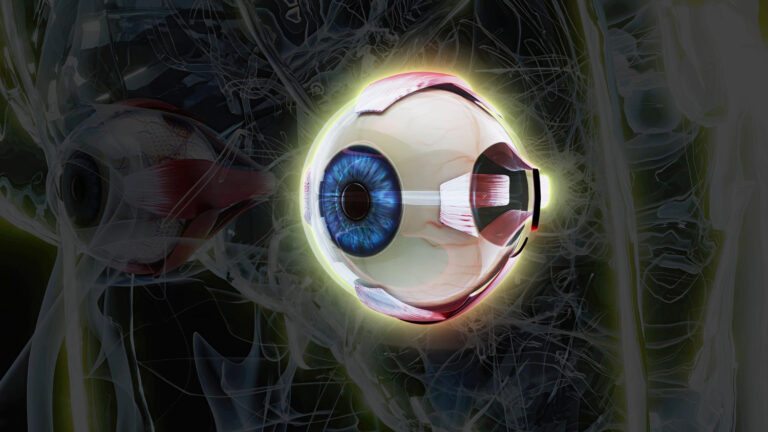 degeneração macular