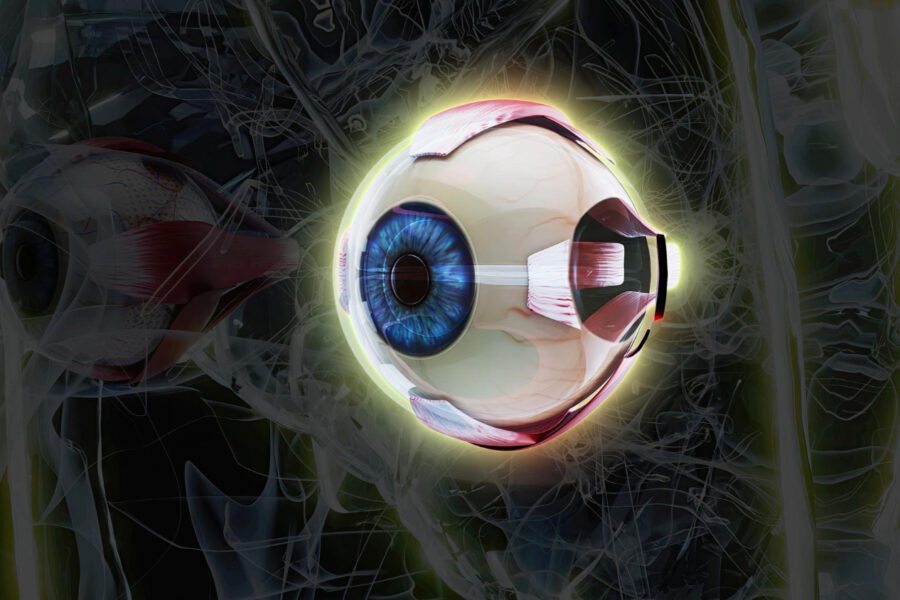 degeneração macular